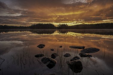 İsveç, İsveç 'te 15 Haziran 2024' te, gün doğumunda kırmızı bulutları yansıtan sakin sulardaki taşlar.