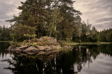15 Haziran 2024 'te İsveç' in karanlık gölüne yansıyan küçük bir adada çam ağaçları.