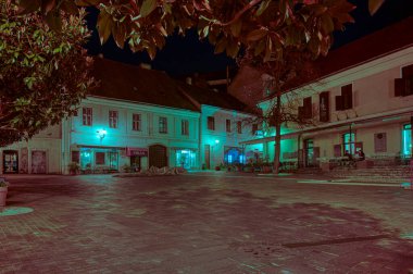 Gece Cakovali Hasan Camii ve Müzesi, Szchenyi Meydanı, Pecs, Macaristan, 13 Mart 2025