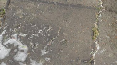 Yüksek basınçlı çamaşır makinesi çimento tabakalarını temizler çimen ve toprakla kaplar.