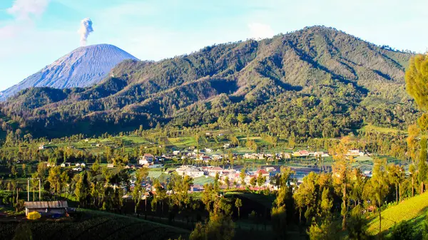 Semeru dağlarının altındaki yerleşim alanlarının panoraması, Doğu Java, Endonezya