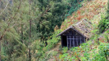 30 Mayıs 2024 'te Malang Endonezya' da çekilmiş, bir tarlanın ortasında eski bir kulübe.
