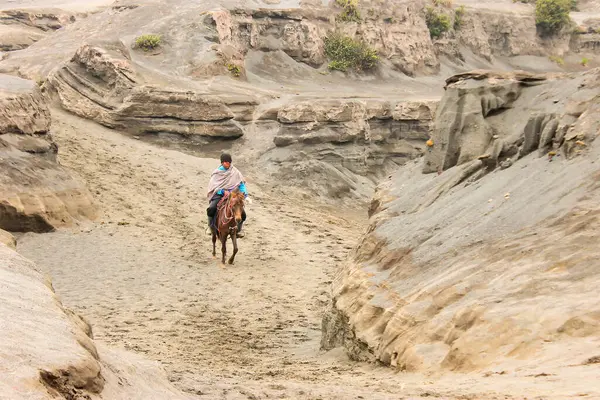 Bromo Malang Endonezya 'daki at sürücüsü 23 Mayıs 2024' te dağdan aşağı doğru yürüyordu.