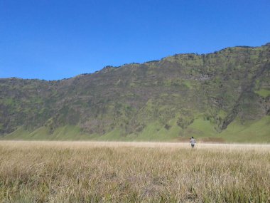 Padang Savana Bromo, Haziran 2024 'te Malang Endonezya' da.