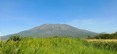 dağlar ve ön plan yeşil çimenler ve mavi gökyüzü
