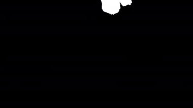 Siyah mürekkep rorschach etkisi soyut arkaplan sanatsal akış sıçrama lekeleri beyaz kağıtlar güzel damlayan çizgiler serpiştirilmiş sıvı mürekkep alfa matte izole edilmiş suluboya mürekkep damlaları geçiş