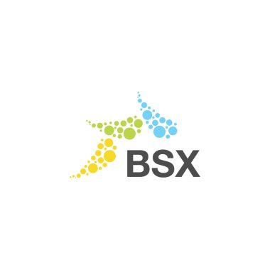 Beyaz arkaplanda BSX harfli logo tasarımı. Yaratıcı modern BSX harf logosu tasarımı. Vektör tasarımı.