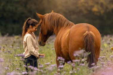 Bir kadın ve Lusitano atı sonbaharda bir kır çiçeğinin çayırında sarılıp kaynaşıyorlar.