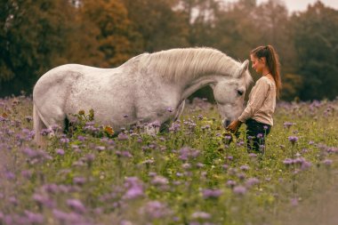 Genç bir kadın, sonbaharda açık havada yabani bir çiçek tarlasında beyaz İspanyol boynuzuyla sarılıp etkileşime geçiyor.