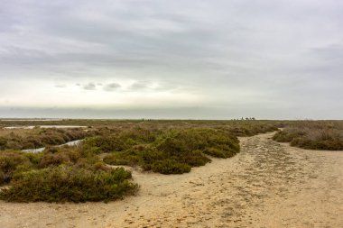 Baharın erken saatlerinde fırtınalı bir günde Camargue, Fransa 'da Saintes Maries des la mer plajında deniz manzarası