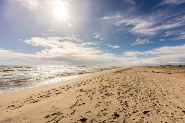 Baharın başında Espiguette, Camargue, Fransa 'da sahil manzarası
