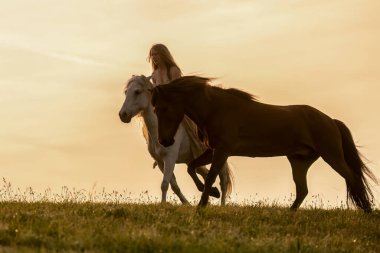 Romantik gün batımı manzarası: Genç bir kadın İzlandalı atıyla sarılıp etkileşime giriyor