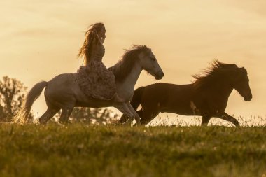 Romantik gün batımı manzarası: Genç bir kadın İzlandalı atıyla sarılıp etkileşime giriyor