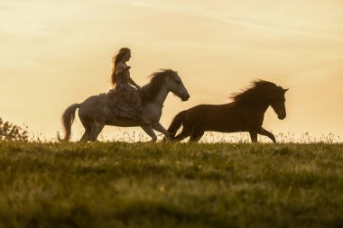 Romantik gün batımı manzarası: Genç bir kadın İzlandalı atıyla sarılıp etkileşime giriyor