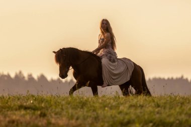 Romantik gün batımı manzarası: Genç bir kadın İzlandalı atıyla sarılıp etkileşime giriyor