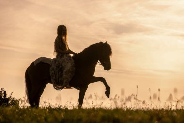 Romantik gün batımı manzarası: Genç bir kadın İzlandalı atıyla sarılıp etkileşime giriyor