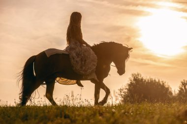 Romantik gün batımı manzarası: Genç bir kadın İzlandalı atıyla sarılıp etkileşime giriyor