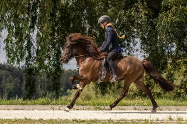 Genç bir kadın, yazın açık havada at binme yarışında dört nala koşuyor.