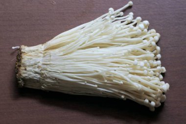 Beyaz arkaplanda bir mantarı kapat