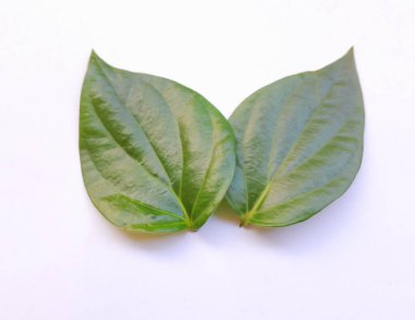 Beyaz arkaplanda yeşil yaprak veya betel yaprağı.