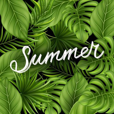 Palmiye yapraklı tropik yaz afişi