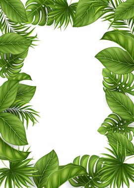 Üstüste dizili yeşil yapraklar ve hurma ağaçları,.