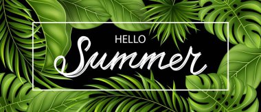 Merhaba yaz. tropikal yapraklı vektör arkaplanı