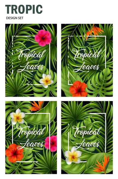 Bir dizi egzotik tropik yaprak, çiçekler ve bitkiler. vektör illüstrasyonu.