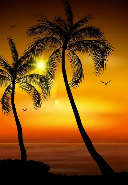 Vektor Illustration Von Palmen Silhouette Mit Möwen Himmel Auf Sommer — Stockvektor