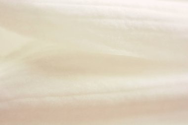 Çiçek arka planda beyaz renk. Fotoğraf bulanık