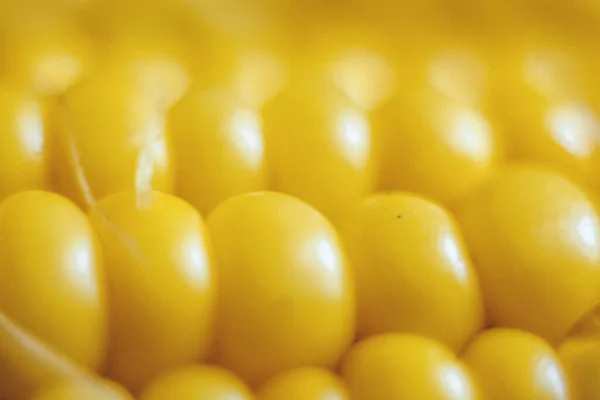Gelbe Maiskörner Großaufnahme Geringe Tiefenschärfe — Stockfoto