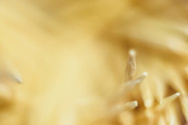 Abstract blurred background in yellow golden color.