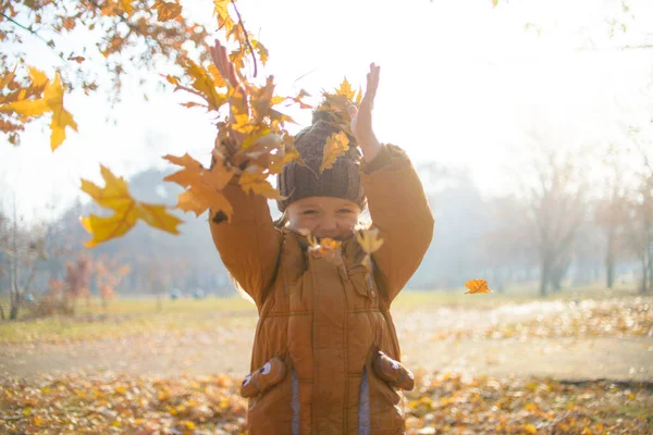 黄色の葉を投げる子 — ストック写真