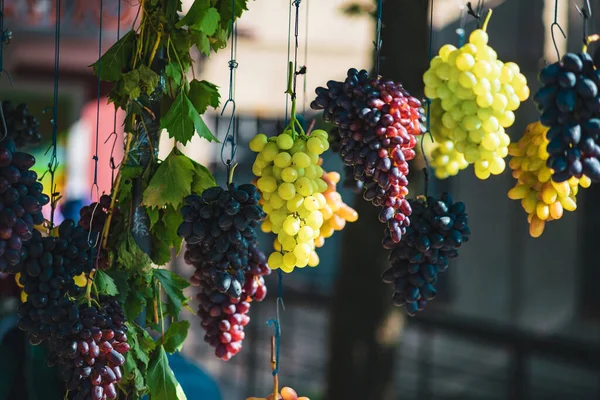 Bunches Grapes Different Varieties Hang Street — Stock Photo, Image