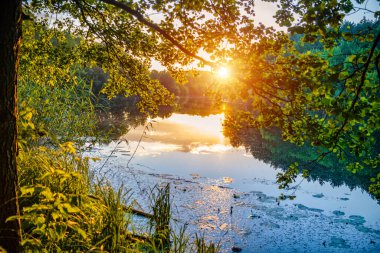 Ormandaki gölde gün batımı