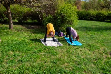 Parktaki bir çift yoga yapıyor.