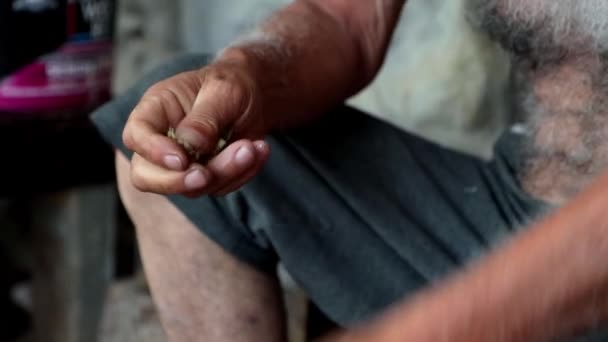 Hombre Despega Cáscaras Avellanas Cerca Las Manos Material Archivo — Vídeo de stock