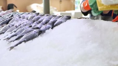Market satıcısı buzu vitrine döker, sonra da buzun üzerine küçük balıklar serer. Satılık tezgah hazırla, 4k 'lık yakın çekim.