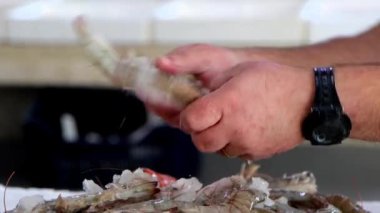 Market satıcısının yakın çekim elleri vitrine karides serer. Buzlu soğuk karides, 4K görüntü..