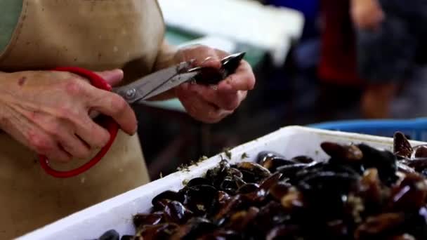 Dişi Satıcı Kabuklu Deniz Ürünlerini Satılığa Çıkarıyor Pazarda Midyeleri Makas — Stok video