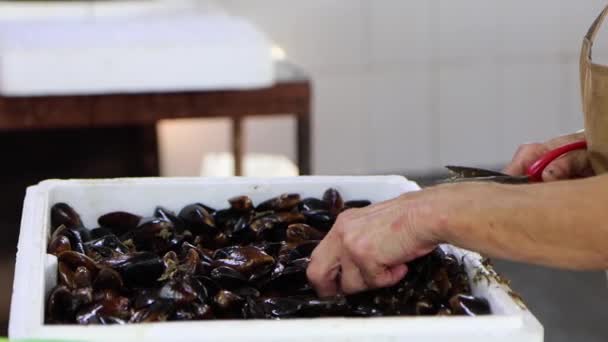 Γκρο Πλαν Χέρια Καθαρίζει Μύδια Ψαλίδι Προετοιμάζεται Για Πώληση Στην — Αρχείο Βίντεο