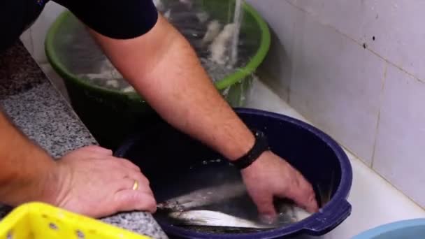 Мытье Рыбы Раковине Рыбном Рынке Видео — стоковое видео