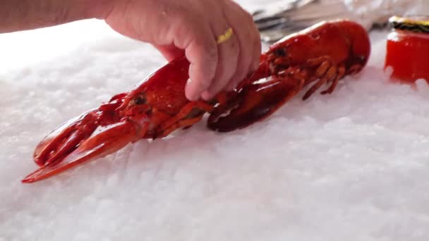 Gekochte Gekühlte Krebse Auf Eis Mit Rotem Kaviar Glas Schaufenster — Stockvideo