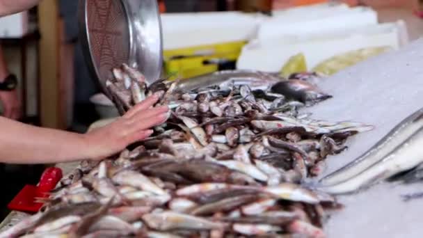 Постачальник Ринків Наливає Свіжу Рибу Вітрину Рибному Ринку Кадри — стокове відео