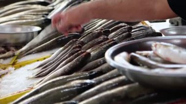 Balık pazarında vitrin hazırlıyorum. Satılık taze deniz balığı konsepti, 4k 'lık yakın çekim..