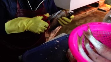 Balığı makasla doğrayalım. Pazarcı taze balık temizliyor, 4k video.