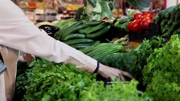 Rural Market Vegetable Selection Greens Vegetables Woman Choosing Bunch Dill — Stock Video