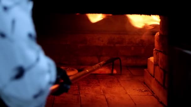 Gürcü Khachapuri Fırında Pişiriyor Görüntü — Stok video