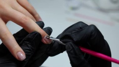 Manikür sırasında fırça kullanarak bir dişinin tırnağına jel cilası sürmenin yakın çekimi.