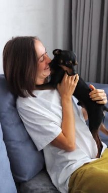 Genç bir kadın evinde, kanepede oyuncak teriyeriyle ya da mini pinscher 'iyle oynarken komik etkileşimler. Köpekler sahibini yalıyor ve neşe içinde kuyruklarını sallıyorlar. Dikey görüntüler.